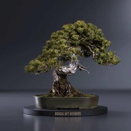 BONSAI NFT MEMBERS ～盆栽とデジタルの”爻：MAJIWARI”～