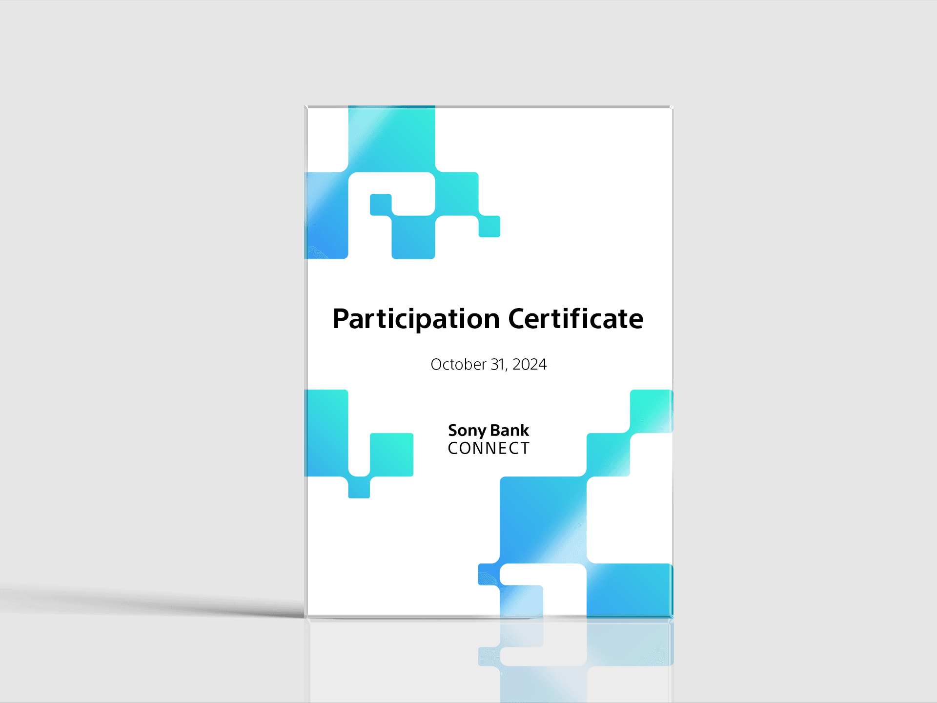 Participation Certificate #1031