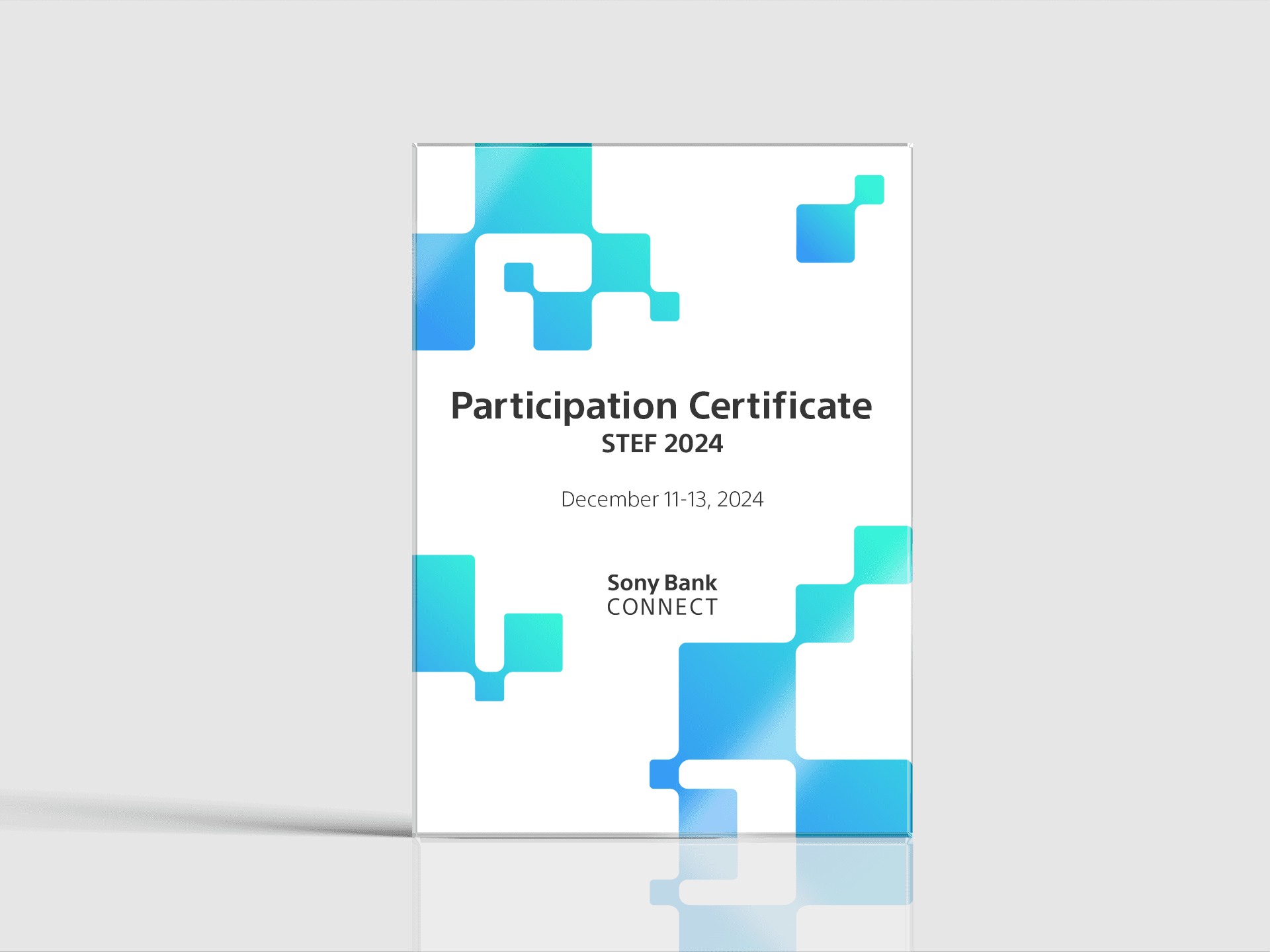 Participation Certificate #1211-13